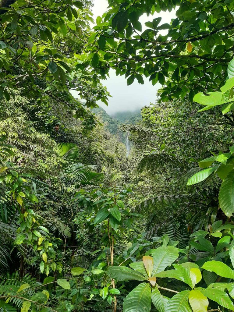 Sicht auf die Wasserfälle Chute du Carbet auf Guadeloupe