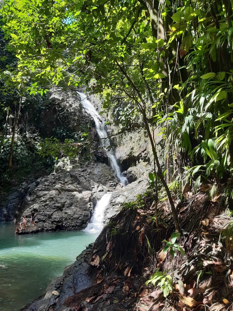 Wasserfall Cascade Bras de Fort - atemberaubende Natur auf Guadeloupe