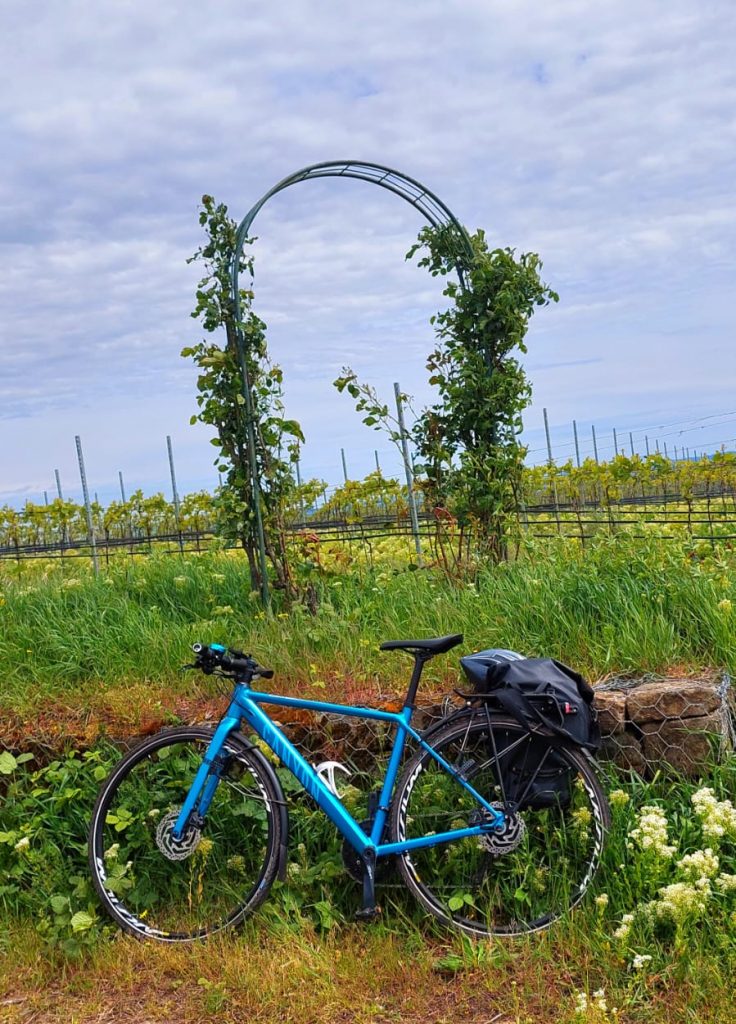 Und in der Freizeit - traumhafte Wanderungen und Radtouren durch den herrlichen Herbst in der schönen Südpfalz